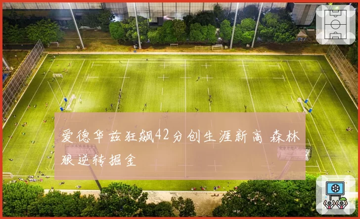 爱德华兹狂飙42分创生涯新高 森林狼逆转掘金