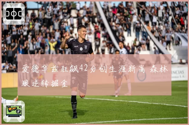 爱德华兹狂飙42分创生涯新高 森林狼逆转掘金